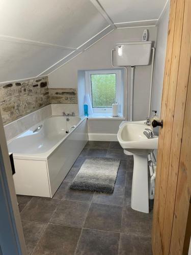 a bathroom with a tub and a sink at Ffyllon Fawr in Henfynyw Upper