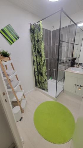 a bathroom with a green rug and a shower at Domaine des deux "A" in Margny-sur-Matz
