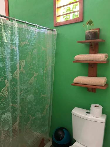 a green bathroom with a shower curtain and a toilet at Casa AllíS in Cóbano