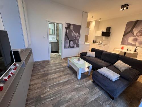 Apartment Centrum
