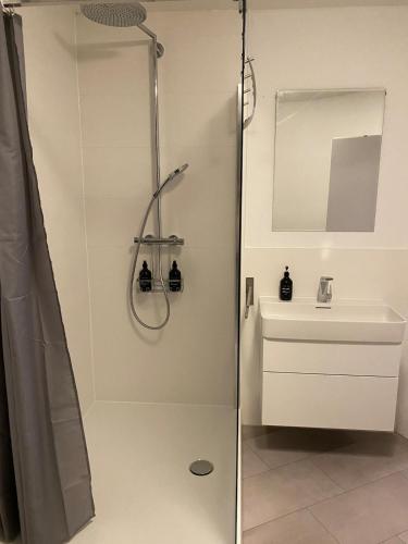 a bathroom with a shower and a sink at Ferienwohnung in Solingen Innenstadt in Solingen