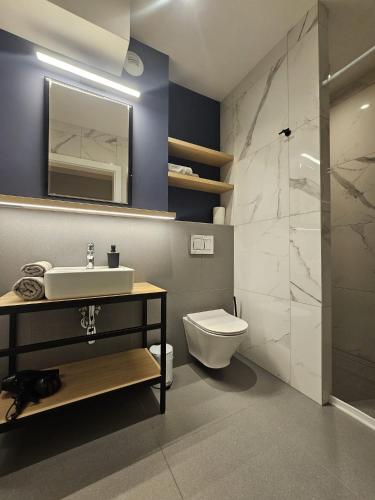 a bathroom with a sink and a toilet and a mirror at Villa Evmerol in Wrocław