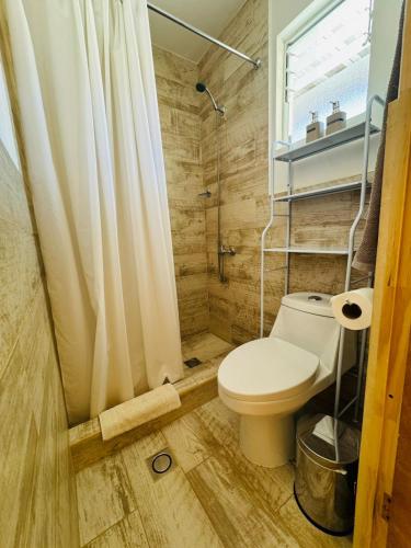 a bathroom with a toilet and a shower at Casa Ñawi in San Pedro de Atacama