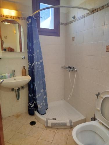 a bathroom with a shower and a toilet and a sink at Margarita's home in Nísos Skýros