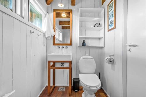 a small bathroom with a toilet and a sink at 5507-Hvide-Sande-Tornbjerrevej-56 in Havrvig