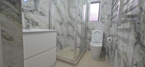 a bathroom with a toilet and a shower and a sink at Paradise on Snells Beach in Snells Beach