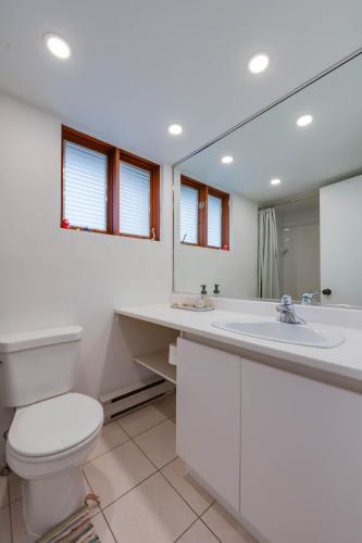 a bathroom with a toilet and a sink and a mirror at Unité 17 - Ski-in Ski-out in Beaupré