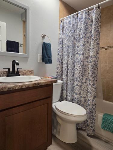 a bathroom with a toilet and a sink and a shower at Quiet Desert Oasis off Swan Rd in Tucson