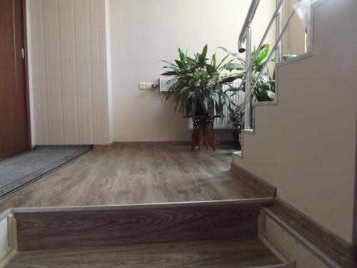 a hallway with stairs and plants in a building at White Hotel Guesthouse in Zugdidi
