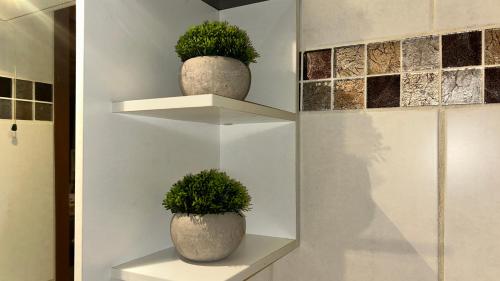 two potted plants sitting on shelves in a room at T2 Aix-Les-Bains atmosphere chalet in Aix-les-Bains