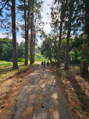 a group of people walking down a dirt road with trees at Cabana Rota do Vinho in São Roque