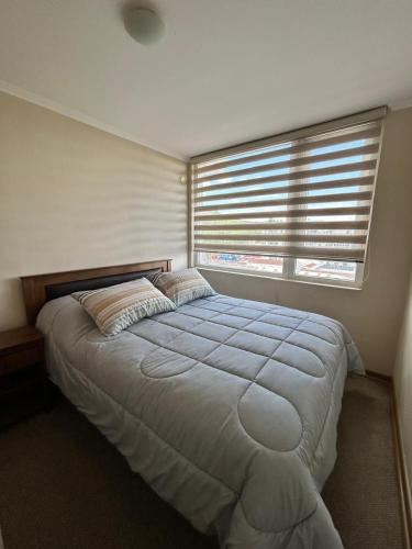 a bedroom with a large bed and a window at Departamento en Temuco O'Higgins in Temuco