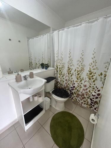 a bathroom with a sink and a toilet with a shower curtain at Edificio león Gallo in Temuco