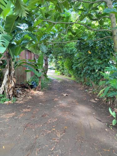 Dārzs pie naktsmītnes Buddle Camping Ground