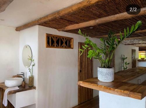 a bathroom with a sink and a potted plant on a counter at Coco Cabaña Barú in Cartagena de Indias