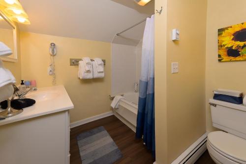 a bathroom with a sink and a toilet and a tub at Brass Lantern Inn in Stowe