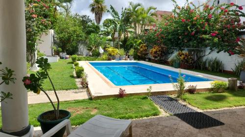 a swimming pool in a yard with plants and trees at Villa Lol-Ha in Cancún