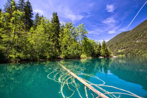 a lake in the mountains with a rope in the water at Ferienhof Obergasser und Bergblick in Weissensee