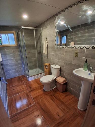 a bathroom with a toilet and a shower and a sink at Cabañas Canaan in Coñao