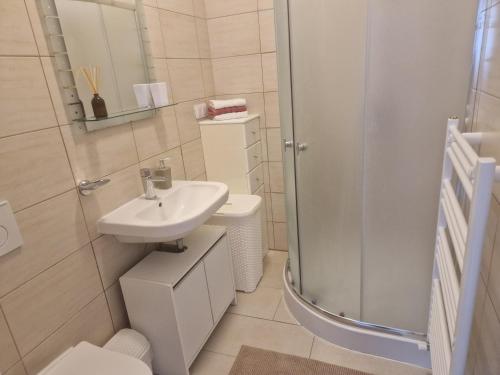 a bathroom with a toilet and a sink and a shower at Villa Müller in Poreč