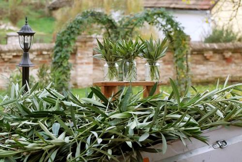 a group of plants in glass jars on a table at Flórián Vendégház in Villánykövesd
