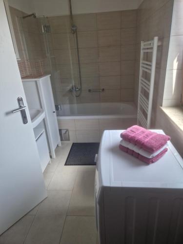 a bathroom with a tub and a shower and a towel at Villa Müller in Poreč