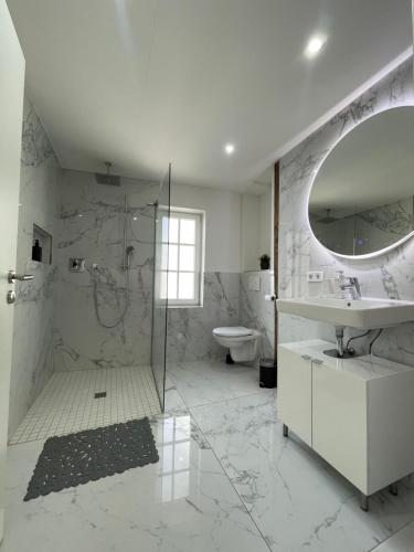 a bathroom with a shower and a sink and a mirror at ADVENTURE LuxusApartment in Wetzlar
