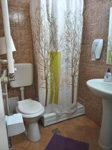 a bathroom with a toilet and a shower curtain at Pensiunea Valea Negrasului in Trăisteni