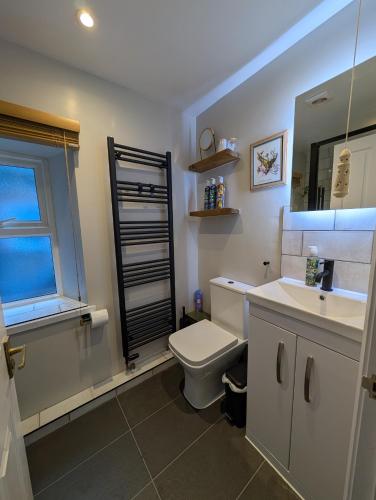 a bathroom with a toilet and a sink and a window at Lee House in Lynton