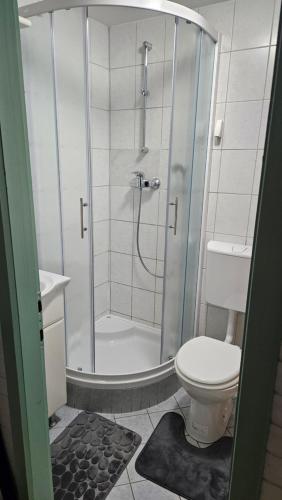 a bathroom with a shower and a toilet at Brunarica Beti in Brežice