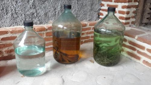 three glass bottles sitting on a brick wall at Guest House Marani in Sighnaghi