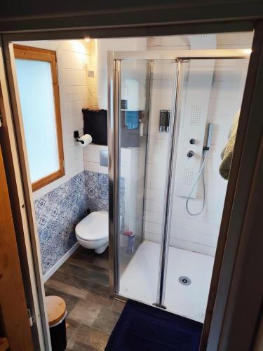 a small bathroom with a toilet and a shower at Climatisation avec La Rouyonnaise in Tinténiac
