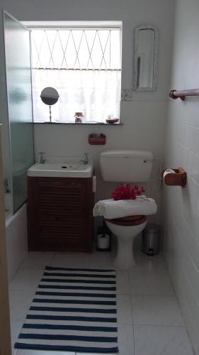 a bathroom with a toilet and a sink and a window at Forword's River Lodge in East London