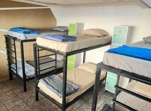 a group of bunk beds in a room at Hostel Sideral in Campo Grande