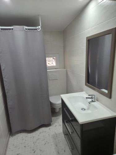 a bathroom with a sink and a toilet and a mirror at Le chemin du bonheur in Nyons