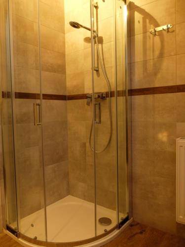 a shower with a glass door in a bathroom at Apartament Pozytywka in Tenczynek