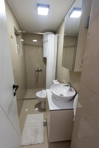 a small bathroom with a sink and a toilet at Bakina kuca in Pirot