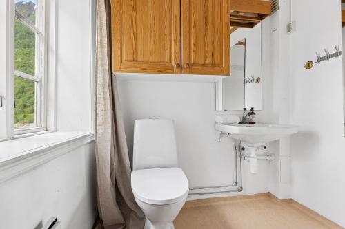 a bathroom with a toilet and a sink at Brygge Sjøgata in Mosjøen