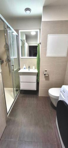a bathroom with a sink and a toilet and a shower at Apartmán Riverside Labe Vrchlabí in Vrchlabí