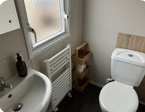 a bathroom with a toilet and a sink and a window at Moray Coast getaway in Lossiemouth
