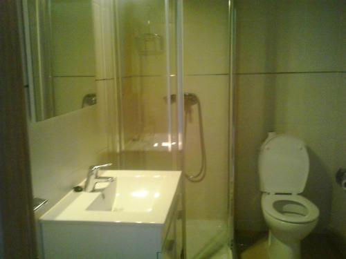ein Bad mit einem Waschbecken, einem WC und einer Dusche in der Unterkunft Apartamentos Alejandra in Barreiros
