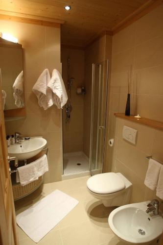 a bathroom with a shower and a toilet and a sink at Apartments Sol E Nef in Rocca Pietore