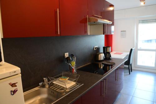 a kitchen with a sink and a counter top at Apt'art Pompidou Metz in Metz