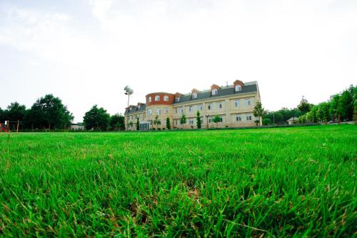 a large building in a field of green grass at Vilesh Palace Hotel in Masallı