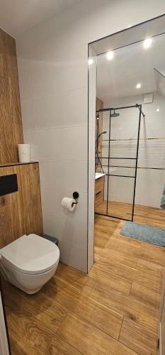 a bathroom with a toilet and a glass shower door at Rest & Relax Górzyniec in Piechowice
