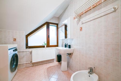 a bathroom with a sink and a washing machine at Green View Kamnik in Kamnik