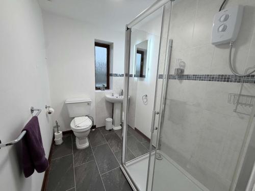 a bathroom with a shower and a toilet and a sink at Millbrook House Apartments 7 in Milton