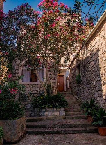Apartments Villa Cardo
