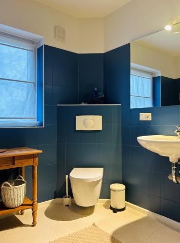 a blue bathroom with a toilet and a sink at Ferienhaus Landleven in Hessenburg