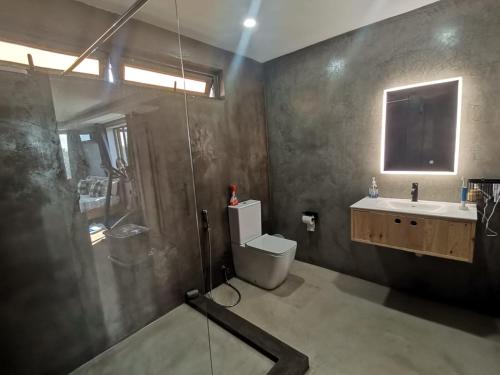 a bathroom with a toilet and a sink and a shower at The Serenity in Mauritius